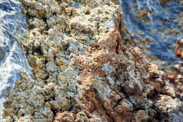 stone rock texture in the daylight