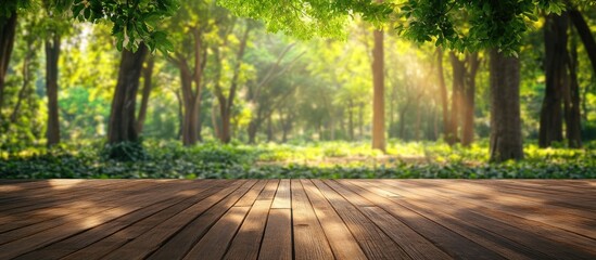 Serene wooden deck overlooking a sunlit forest landscape with lush greenery and dappled sunlight perfect for nature-themed designs.