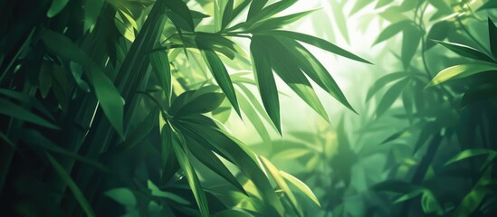 Lush bamboo leaves in a serene natural setting with soft light creating an enchanting green backdrop for tranquility and relaxation.