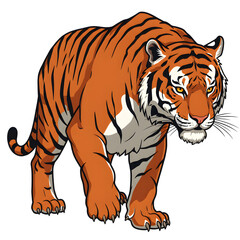 Fototapeta premium Walking Orange Tiger with Black Stripes Illustration