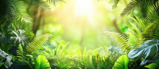 Lush green fern leaves and diverse foliage illuminated by sunlight in a vibrant tropical forest backdrop creating a serene natural atmosphere