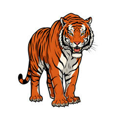 Obraz premium Walking Orange Tiger Illustration
