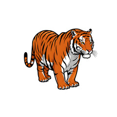 Obraz premium Tiger Illustration with Orange and Black Stripes