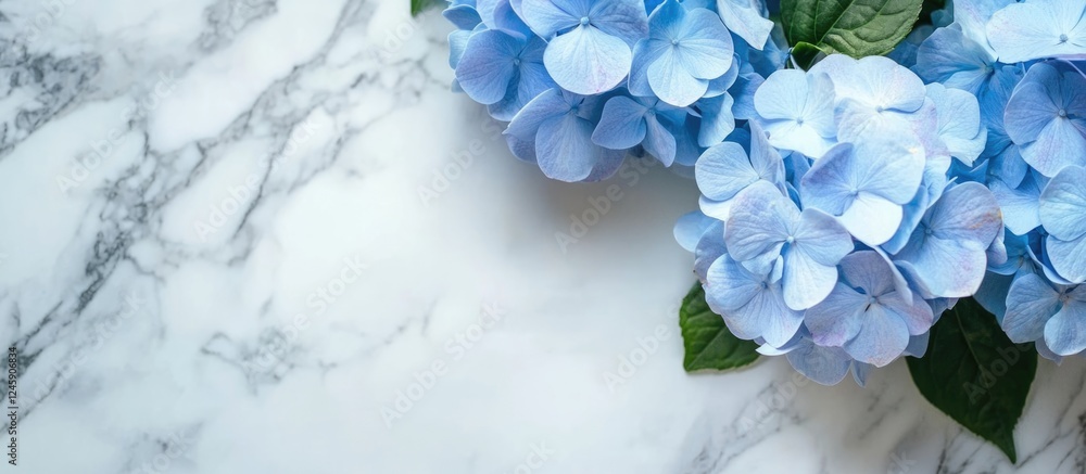 Poster close up of beautiful blue hydrangea flowers on a white marble surface with ample empty space for ov