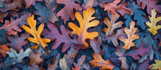 Vibrant autumn oak leaves in an array of colors create a textured background from a top-down perspective.
