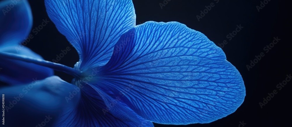 Poster vibrant blue macro flower on dark background with smooth textures and ample space for text or brandi