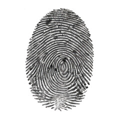 Detailed fingerprint, unique identifying feature, suitable for crime scene investigation or biometric security applications. Isolated on white background or PNG