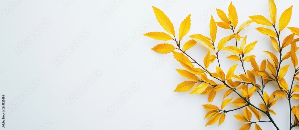Poster cannabis plant with vibrant yellow leaves against a white background creating empty space for text o