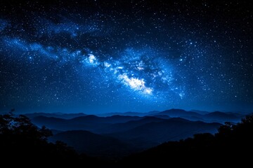 Fototapeta premium The sky is dark and the stars are shining brightly