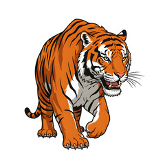Fototapeta premium Walking Orange Tiger Illustration