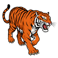 Obraz premium Furious Orange Tiger Walking Forward