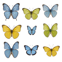 Colorful butterflies arranged in a grid, showcasing vivid blues and yellows, perfect for nature-themed designs or d&eacute;cor. Isolated on white background or PNG