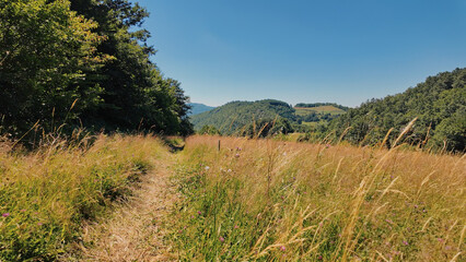Tranquil sunny summer landscape with green fields and hills.