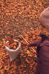 Obraz premium Woman cleaning garden from fallen autumn leaves.