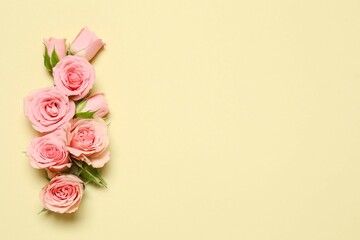Beautiful composition with pink roses on color background