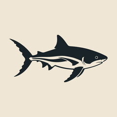 vector illustration of a shark