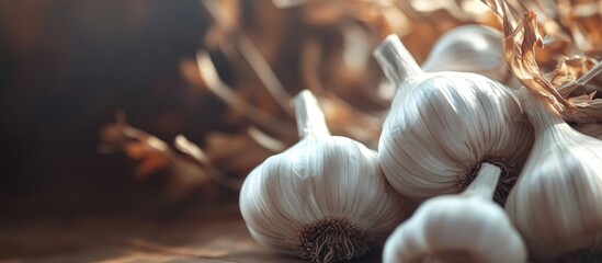 Freshly harvested white garlic bulbs arranged elegantly on a textured wooden surface highlighting their natural beauty and culinary significance.