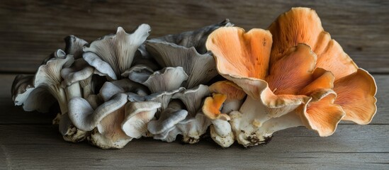 Freshly harvested gourmet mushrooms arranged beautifully on a rustic wooden surface showcasing their unique shapes and rich colors.