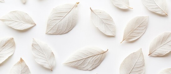 Elegant white leaf texture design on bright background for modern decor and nature-inspired projects.