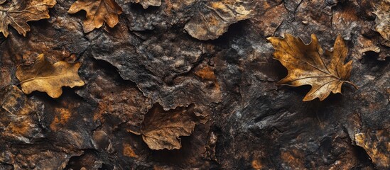 Obraz premium Dry leaf texture creating an organic background with versatile copy space for design and creative projects.