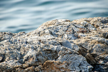 rocks on the beach