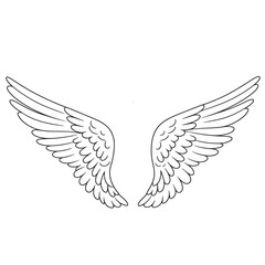 Obraz premium vector illustration of a bird, vector illustration of an eagle, dove of peace