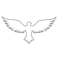 Obraz premium vector wings of a bird, vector wings of the eagle, eagle with wings