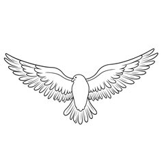 Obraz premium vector wings of a bird, vector wings of the eagle, eagle with wings