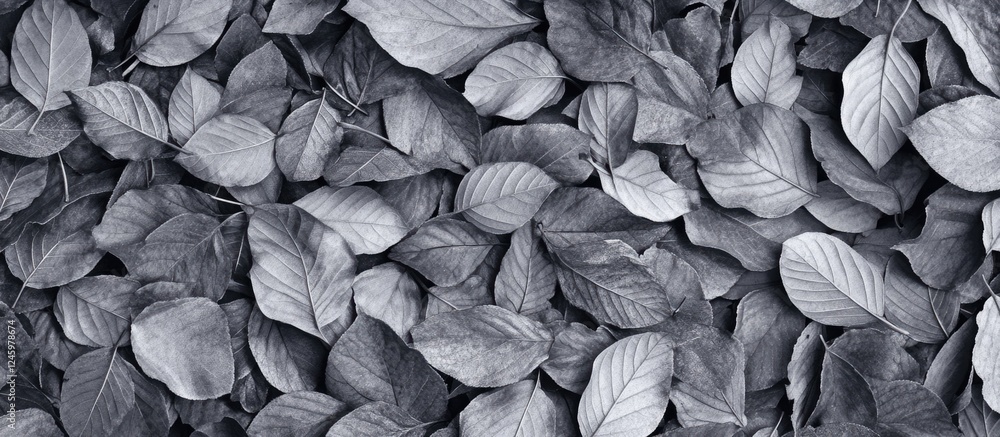 Poster monochrome background of dry leaves arranged in a textured pattern for artistic and design purposes