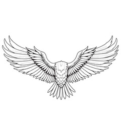 Obraz premium vector wings of a bird, vector wings of the eagle, eagle with wings