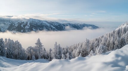 Snow covered trees and mountains pierce the clouds in a winter wonderland