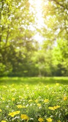 Obraz premium Sunny spring meadow, vibrant flowers, green trees, bokeh background, nature scene