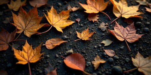 Obraz premium Delicate dried leaves scattered on darkened ground, organic shapes, nature, natural textures