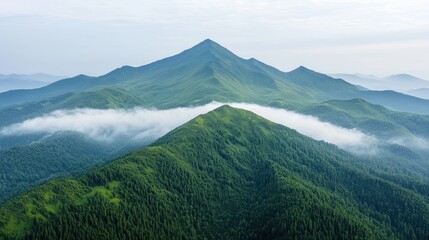 Misty mountain peaks, green forests, serene landscape, travel postcard