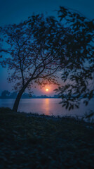 Fototapeta premium A tranquil sunset over a serene lake, framed by silhouettes of trees. The soft hues blend harmoniously, creating a peaceful atmosphere perfect for reflecting on nature's beauty.