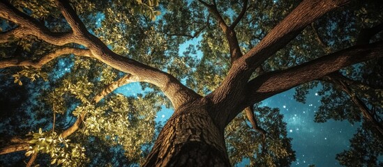 Majestic tree towering under a starry night sky with vibrant green leaves and textured bark illuminated by soft moonlight.