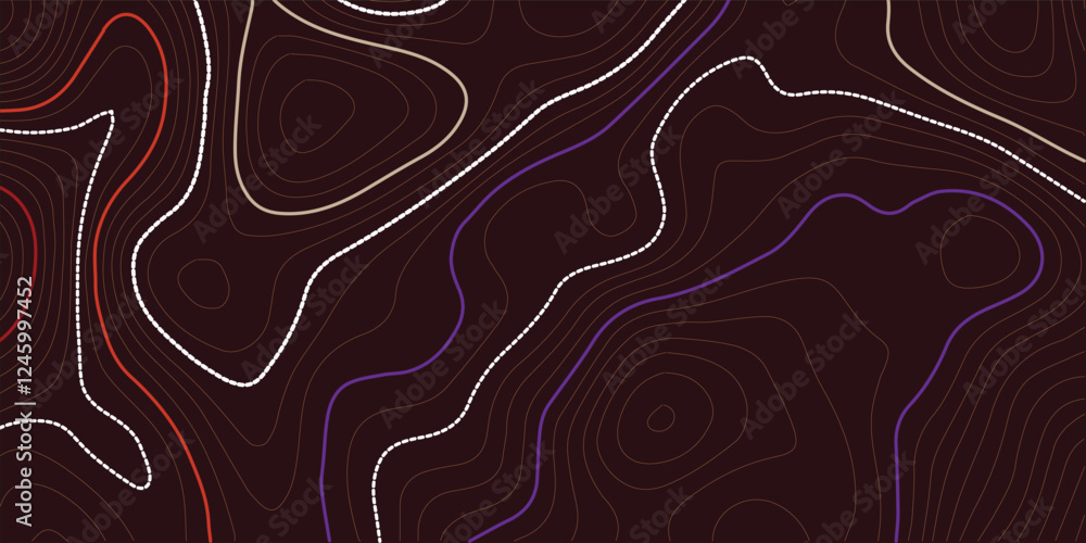 Leinwandbilder the stylized height of the topographic map contour in lines and contours. the concept of a condition