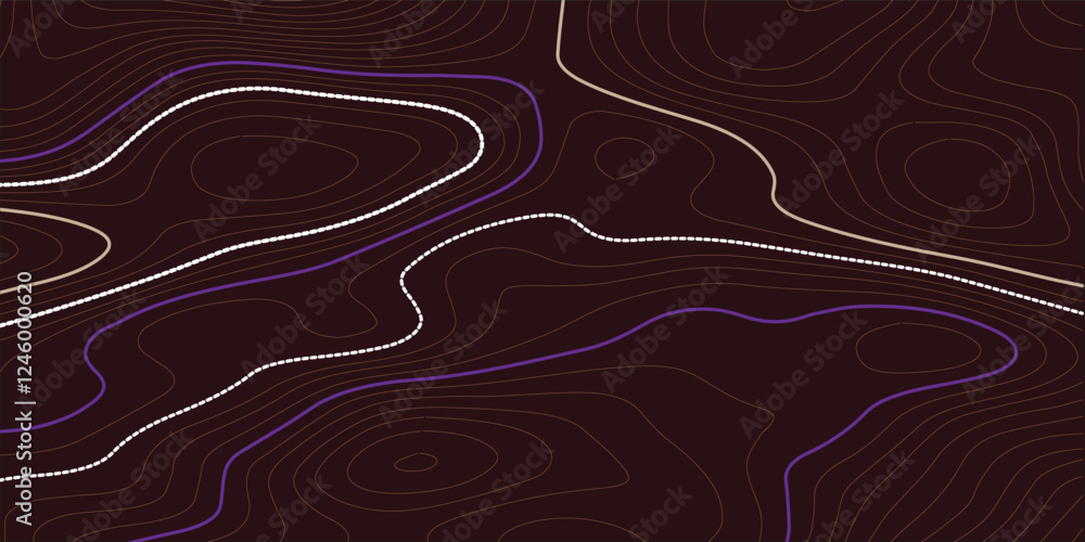 Fototapete the stylized height of the topographic map contour in lines and contours. the concept of a condition