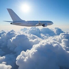 Obraz premium airplane in the sky