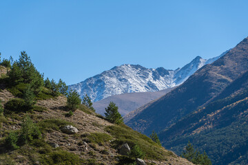 Obraz premium Alpine meadows spread out at foot of snow-capped peaks. Kabardino-Balkaria. View of snow-capped peaks of Chegem Gorge. Majestic natural landscapes of Elbrus region against backdrop of blue autumn sky