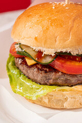Closeup on fresh american classic hamburger