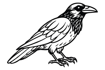 Fototapeta premium Silhouette of crow isolated on a white background