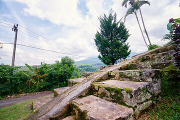 Rustic Stone Step Path in a Serene Green Landscape Under a Bright Sky..