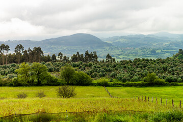 The town of Tazones, Asturias Tourism, Villaviciosa