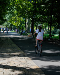 Naklejka premium A girl rides her bicycle along a scenic park path on a warm summer day. This vibrant scene embodies outdoor adventure and healthy living, capturing the joy of childhood and exploration in nature.