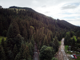 Aerial view of a dense forest with a dirt road winding through it, surrounded by lush green trees and a cloudy sky.