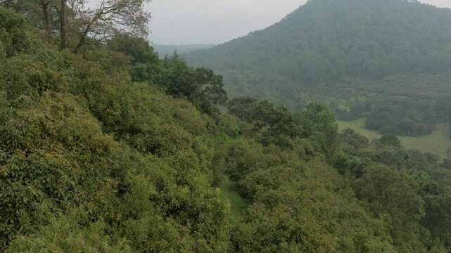 REVEAL SHOT OF AN AVOCADO FARM IN URUAPAN MICHOACAN ON A CLUDY DAY