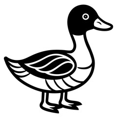 vector illustration of a duck
