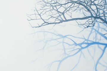 Abstract silhouette of bare tree branches against a soft gradient background, evoking a sense of tranquility and introspection in nature