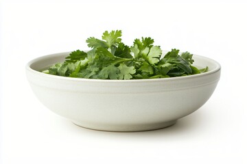 Fototapeta premium Fresh Cilantro in Rustic Bowl on White Background Culinary Herb and Flavorful Ingredient